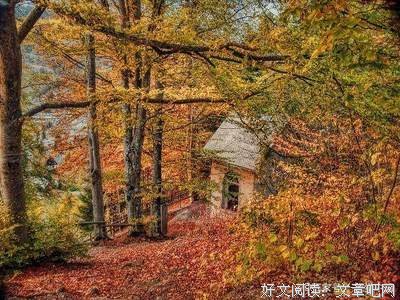《邪医毒妃》小说摘抄
