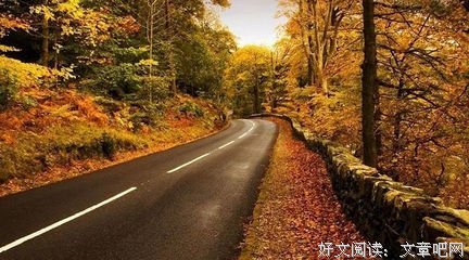 最新的《钢铁之翼》经典的句子