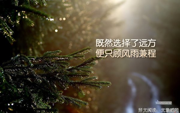《青春美文》经典名句