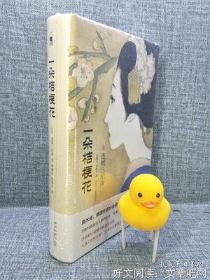 最全的《一朵桔梗花》好段摘抄