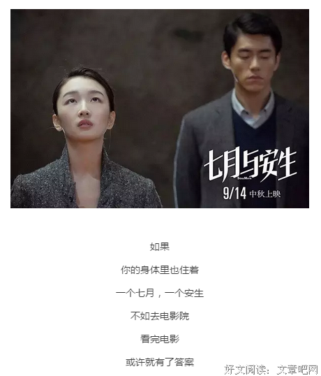 最新的《七月与安生》小说句子