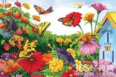 最新的《亲爱的爱情》经典语句大全