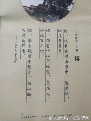 最经典的《南风知我意》小说句子