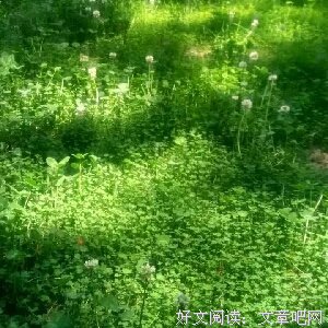 最新的《小绿和小蓝》语录摘抄