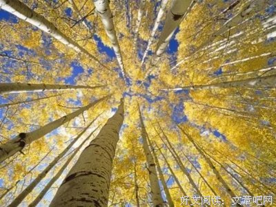 关于冷酷无情名言名句