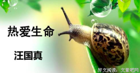 关于身败名裂的语句