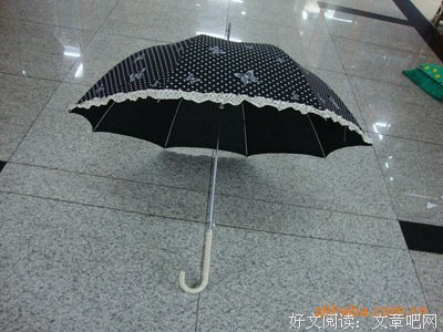 阿波罗的句子