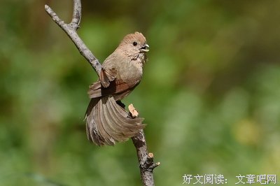 貌不惊人的名人名言