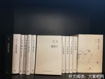 在异国他乡书店里数“便便”，或许是我多年来，最有创意和“味道