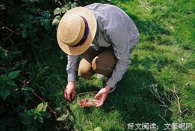 们这子些年我们听过的歌曲的优美句子