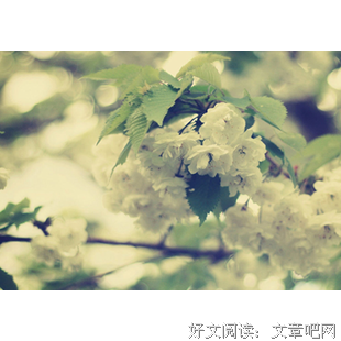 关于最美的承诺只是太年风往的句子
