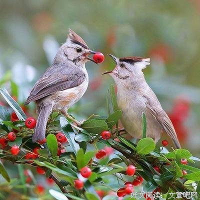 沉经典的句子