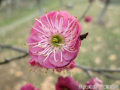 父母插手的感情，用这个方法就能调解
