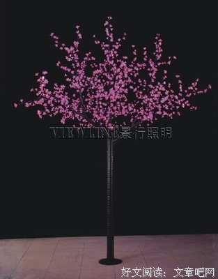 关于景行的名言