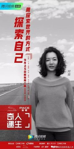 朴树的名言