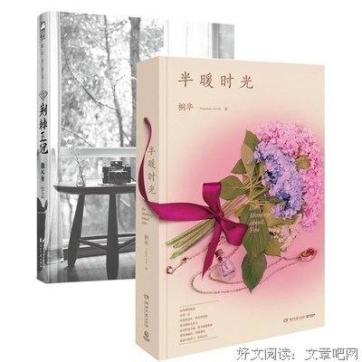 最全的《岁月忽已暮》小说书摘