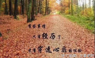 最经典的《快乐的知识》经典句子