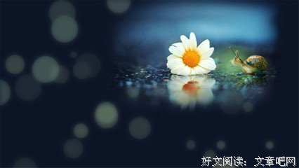 最经典的《恋情的终结》小说句子