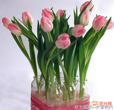 《星星上的花》经典的句子