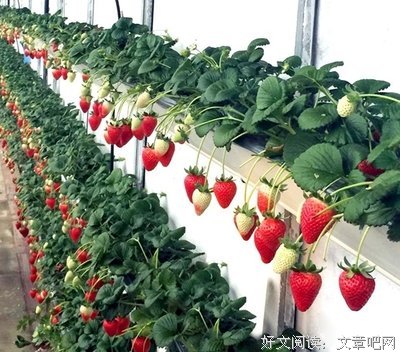 倾述：好心邀闺蜜回家过年，差点坑了所有亲戚