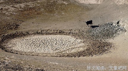 选一张牌，看有多少人会把你放在心里？