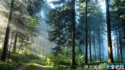 最经典的《能量脉轮书》经典语句大全