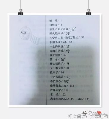 最经典的《送你一匹马》好段摘抄