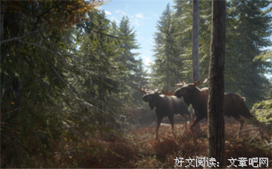 最新的《野性的呼唤》经典语录大全