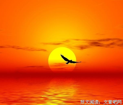 最新的《像狗一样奔跑》经典句子大全