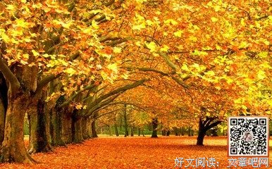 关于纳兰性德的名句摘抄