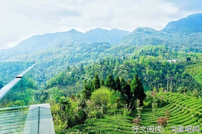 看开，想开，放开