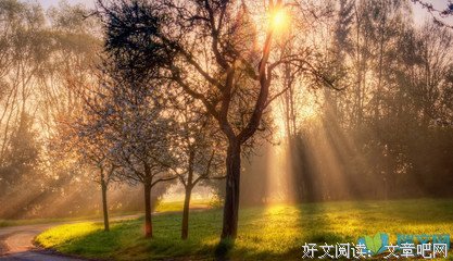 有关优美词句的句子