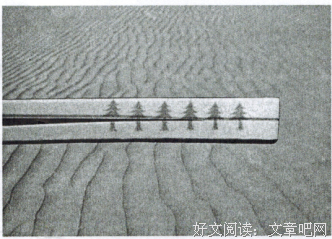 糖句子