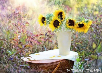 已误辰是枉生经典的句子