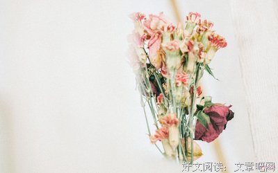 有关陆游经典语录
