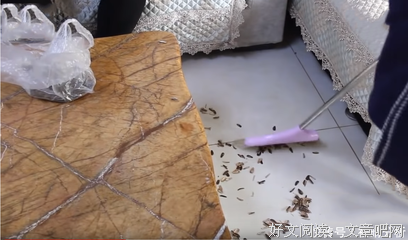 实录 | 那个嚣张的婆婆，终于被儿媳扫地出门