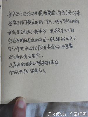 最全的《孤独是一座岛》语录摘抄大全