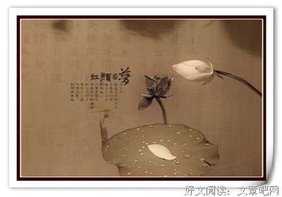 最全的《宁静的最远处》经典语句