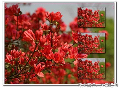 最全的《第二次二十岁》经典句子