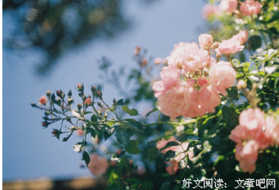 最经典的《等一个人咖啡》名句欣赏