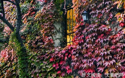 最新的《人生若只如初见》语录摘抄