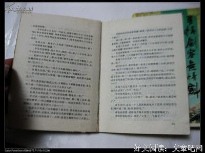 《多情剑客无情剑》小说书摘