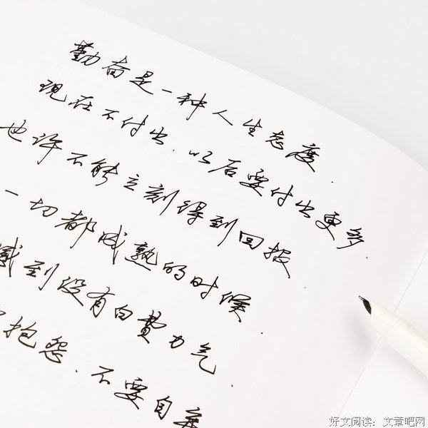最新的《妻子太忙不是错》语录摘抄大全