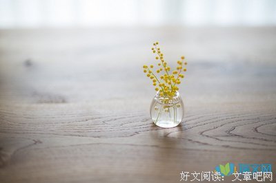 最全的《恰到好处的幸福》语录摘抄