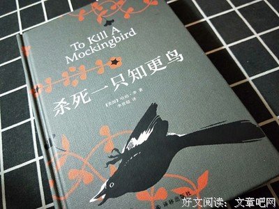最新的《杀死一只知更鸟》语录摘抄