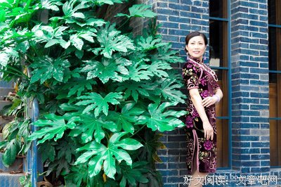 关于徐娘的语句