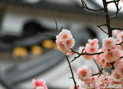 低沉的句子