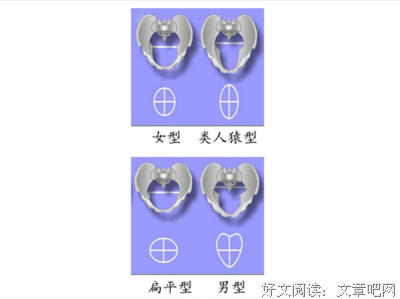 抱歉，我觉得你屁股不够大不会生儿子。