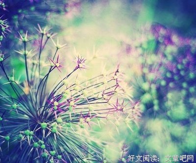 有关许你半月声时我流离的句子