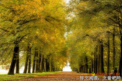 青春优美的句子